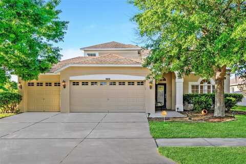 Tilobe, LAND O LAKES, FL 34638