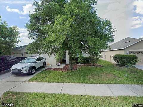 Tilobe, LAND O LAKES, FL 34638