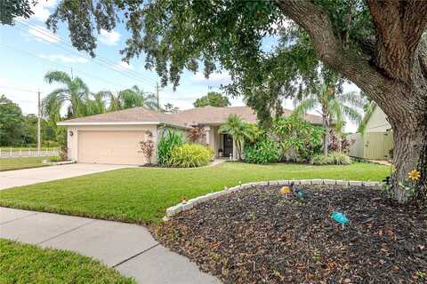 Montero, SUN CITY CENTER, FL 33573