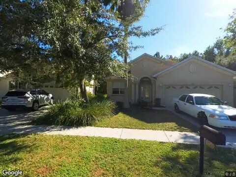 Fiddlers Green, WESLEY CHAPEL, FL 33544
