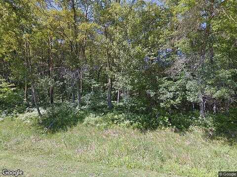 Robinhood, PEQUOT LAKES, MN 56472