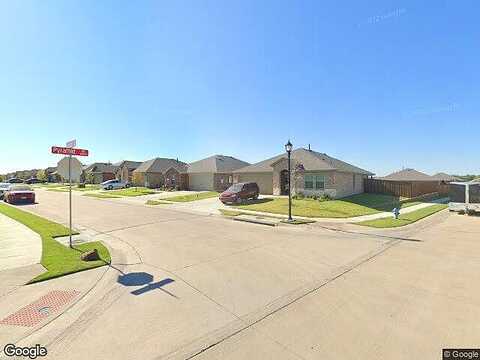 Stardust, FORNEY, TX 75126