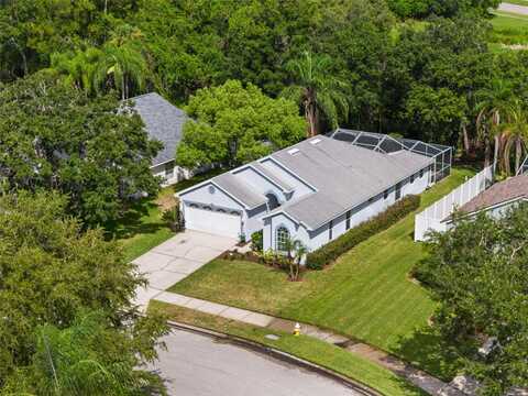 Fountainview, OLDSMAR, FL 34677