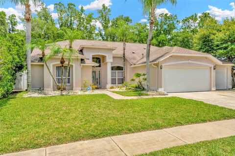 Openfield, WESLEY CHAPEL, FL 33543