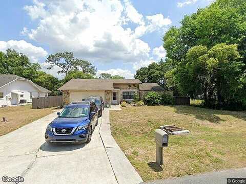 Dover, LAND O LAKES, FL 34639