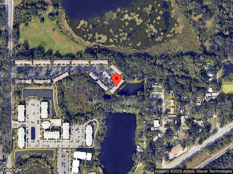 Black Swan, SEFFNER, FL 33584