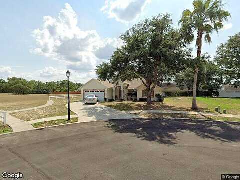 Cotton, EUSTIS, FL 32726