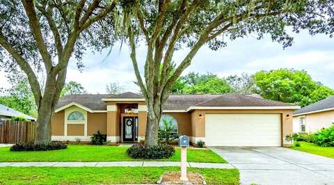 Foggy Ridge, LAND O LAKES, FL 34639