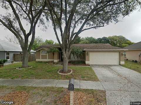 Foggy Ridge, LAND O LAKES, FL 34639