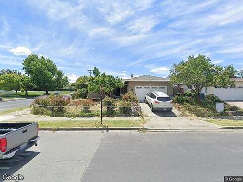 Aster, ANTIOCH, CA 94509