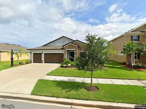 Watoga, WESLEY CHAPEL, FL 33543