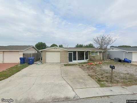 Umber, HOLIDAY, FL 34691