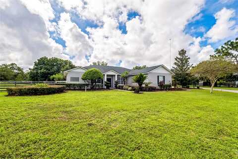 Wassum, CHULUOTA, FL 32766