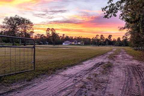 Fawn, OSTEEN, FL 32764
