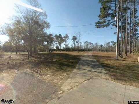 Daylily, CANTONMENT, FL 32533