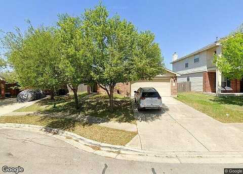 Firebush, BUDA, TX 78610