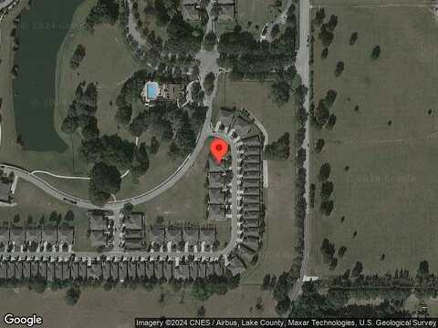 Belgian, MOUNT DORA, FL 32757