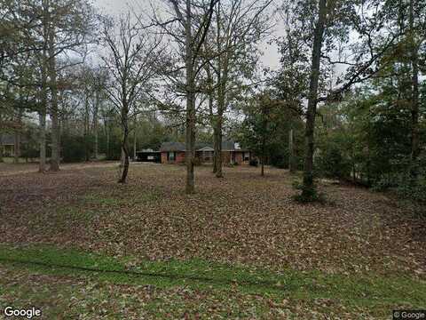 Champion Forest, CONROE, TX 77303