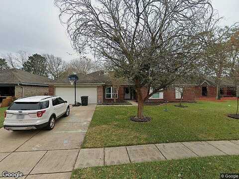 Holly Fern, LEAGUE CITY, TX 77573