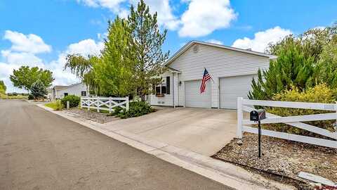 Abrams, MONTROSE, CO 81401