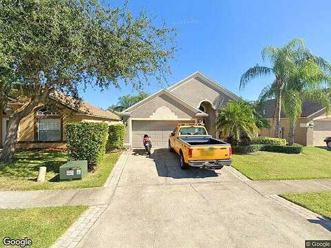 Horsemint, WESLEY CHAPEL, FL 33543