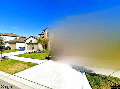 Diamond View, WIMAUMA, FL 33598