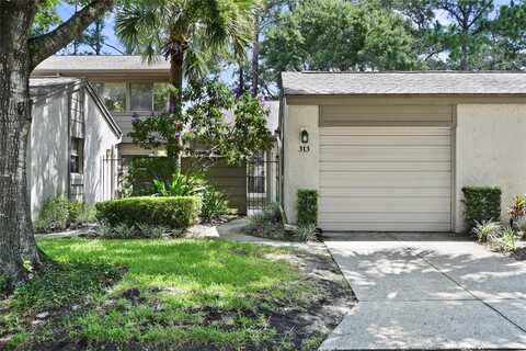 Dryberry, FERN PARK, FL 32730