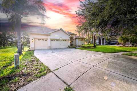 Blue Stone, VALRICO, FL 33594