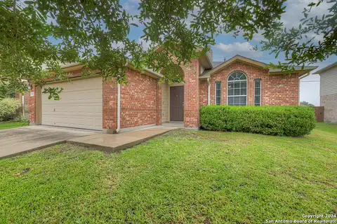 Pelican, NEW BRAUNFELS, TX 78130
