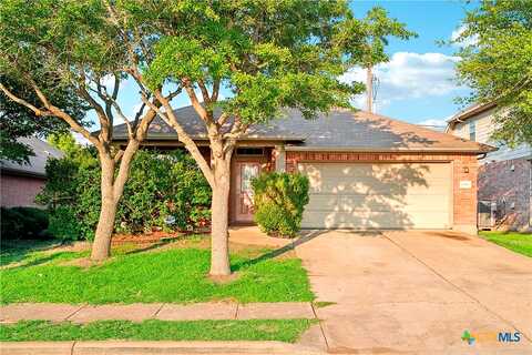 Stone Rim, BUDA, TX 78610