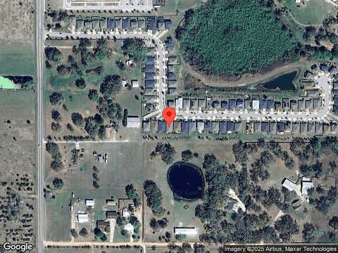 Domenico, GROVELAND, FL 34736