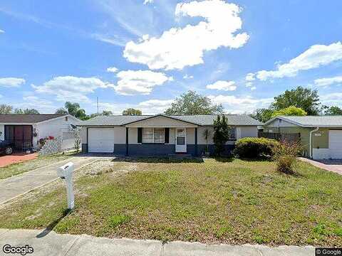 Sue Ellen, PORT RICHEY, FL 34668