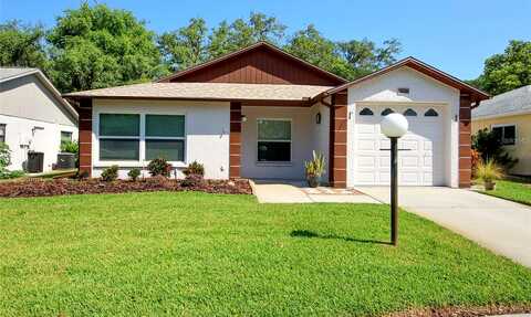 Scotch Pine, NEW PORT RICHEY, FL 34654