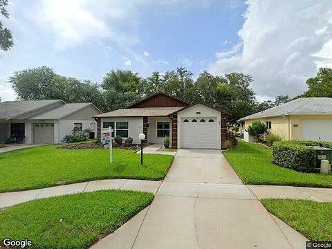 Scotch Pine, NEW PORT RICHEY, FL 34654