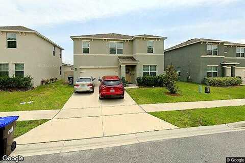 Coral Berry, MOUNT DORA, FL 32757