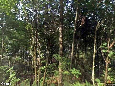 Marine View, HOODSPORT, WA 98548