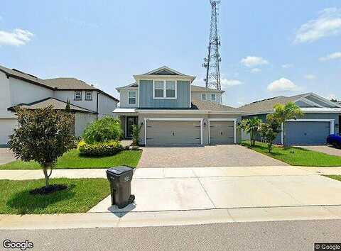 Navel Orange, TAMPA, FL 33626
