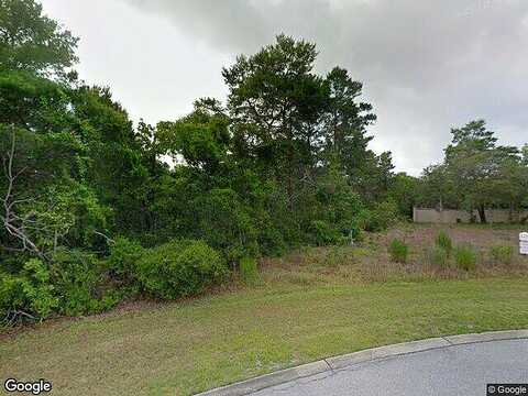 Cam, INLET BEACH, FL 32461