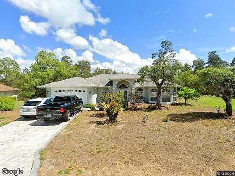 Zinnias, HOMOSASSA, FL 34446