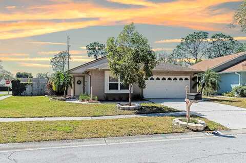 Allenton, BRANDON, FL 33511