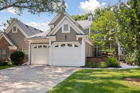 Birch Pond, SAINT PAUL, MN 55110
