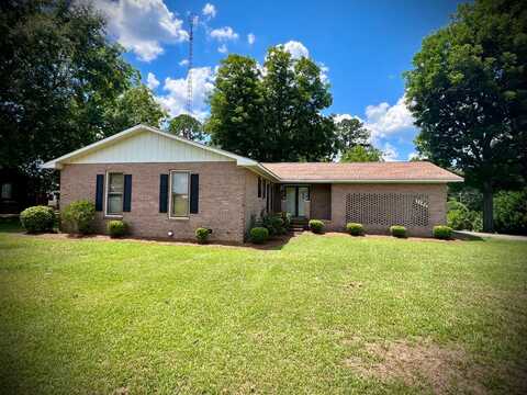 Blackshear Ferry, DUDLEY, GA 31022