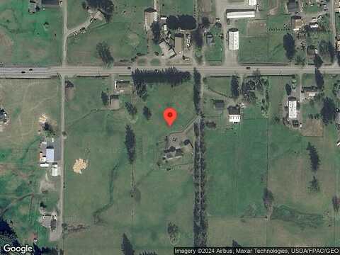 Red Tree, BELLINGHAM, WA 98226