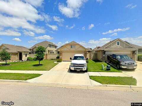 Arabian Colt, GEORGETOWN, TX 78626