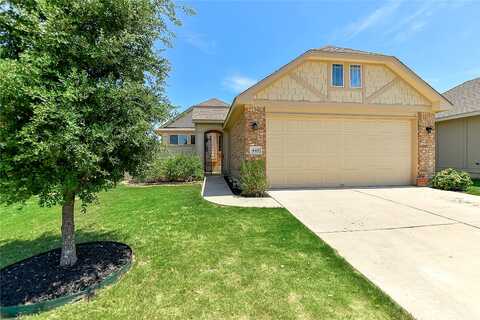 Arabian Colt, GEORGETOWN, TX 78626