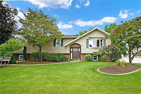 Maple, ALLENTOWN, PA 18104
