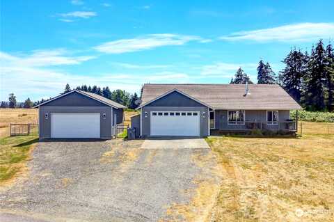 Shorthorn, OAKVILLE, WA 98568