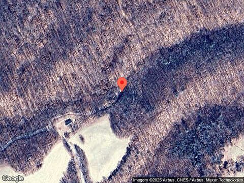 Owl Town, BEDFORD, VA 24523