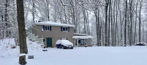 Forest Trail, POUND, WI 54161