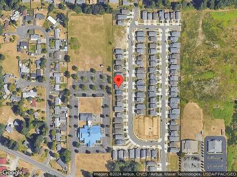 Vine Maple, LACEY, WA 98503